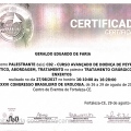 Ampliar imagem: certificate 332