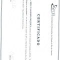 Ampliar imagem: certificate 3