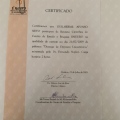 Ampliar imagem: certificate 10