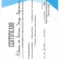 Ampliar imagem: certificate 5