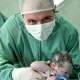 Guilherme Caldeira Vicente