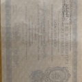Ampliar imagem: certificate 6