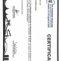 Ampliar imagem: certificate 9