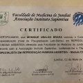 Ampliar imagem: certificate 4