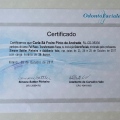 Ampliar imagem: certificate 4
