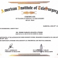 Ampliar imagem: certificate 9