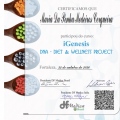 Ampliar imagem: certificate 11