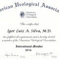 Ampliar imagem: certificate 4
