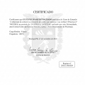 Ampliar imagem: certificate 31