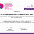 Ampliar imagem: certificate 8