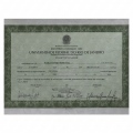 Ampliar imagem: certificate 5