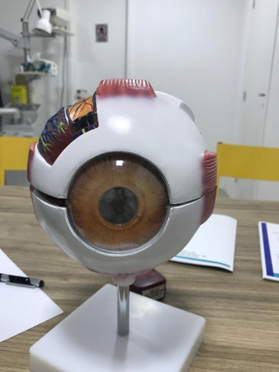 Daniela Lima De Jesus-0