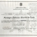Ampliar imagem: certificate 1
