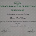 Ampliar imagem: certificate 13