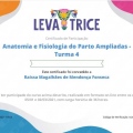 Ampliar imagem: certificate 5