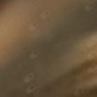 Dr. Cecilia Maria Nascimento Oliveira