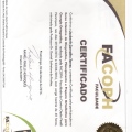 Ampliar imagem: certificate 2
