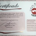 Ampliar imagem: certificate 10