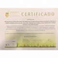 Ampliar imagem: certificate 23
