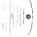 Ampliar imagem: certificate 9