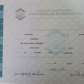 Ampliar imagem: certificate 3