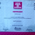 Ampliar imagem: certificate 23