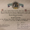 Ampliar imagem: certificate 4