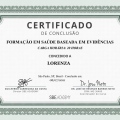 Ampliar imagem: certificate 3