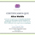 Ampliar imagem: certificate 12