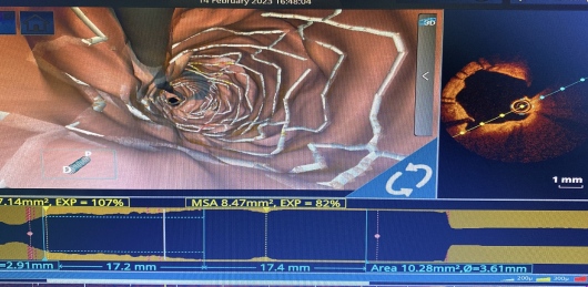 Renato N. Barreto De Melo-1