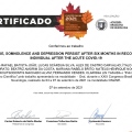 Ampliar imagem: certificate 1