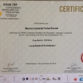 Ampliar imagem: certificate 2