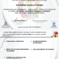 Ampliar imagem: certificate 4