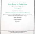 Ampliar imagem: certificate 29