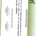Ampliar imagem: certificate 9