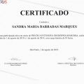 Ampliar imagem: certificate 9
