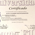 Ampliar imagem: certificate 5