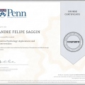 Ampliar imagem: certificate 4