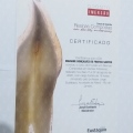 Ampliar imagem: certificate 1