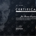Ampliar imagem: certificate 12
