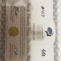Ampliar imagem: certificate 4