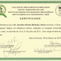 Ampliar imagem: certificate 12