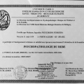 Ampliar imagem: certificate 7