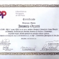 Ampliar imagem: certificate 1