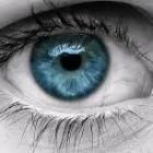 Dra. Fernanda Machado Cardoso