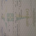 Ampliar imagem: certificate 2
