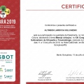 Ampliar imagem: certificate 33