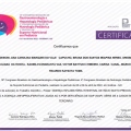 Ampliar imagem: certificate 3