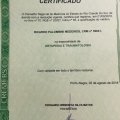 Ampliar imagem: certificate 2