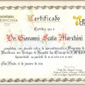 Ampliar imagem: certificate 3